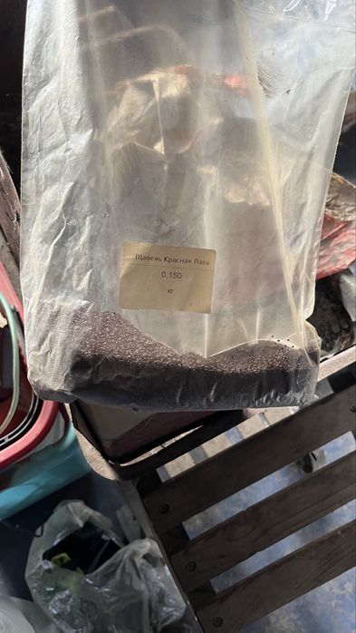 Семена микрозелень