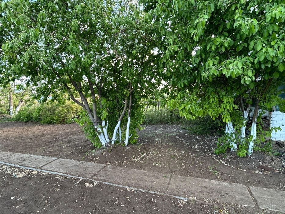 Продается уютная дача в районе Рассвет ,вторая линия - Ansicht 3