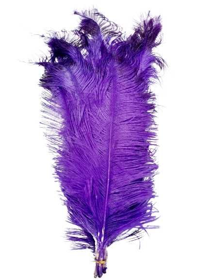 Pene de struti de vanzare