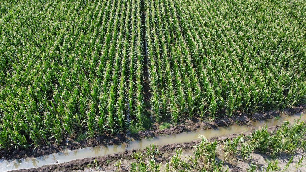 ПРОМОЦИЯ -Сенаж- 80 лв на тон ,  Ливадно Сено- 65.лв бр  ТОП КАЧЕСТВО