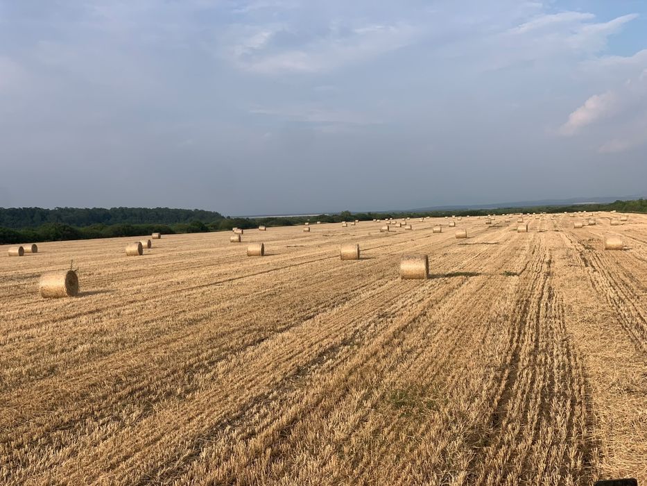 Rezervati din timp baloti de paie 120/120 legati cu plasa