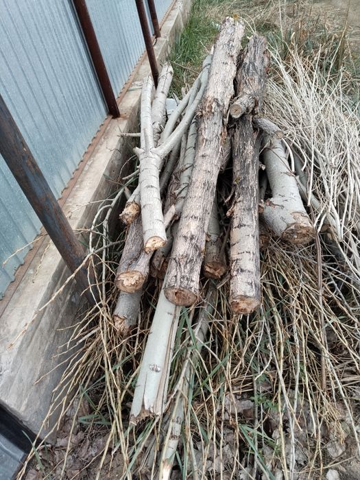 Отдам дрова даром