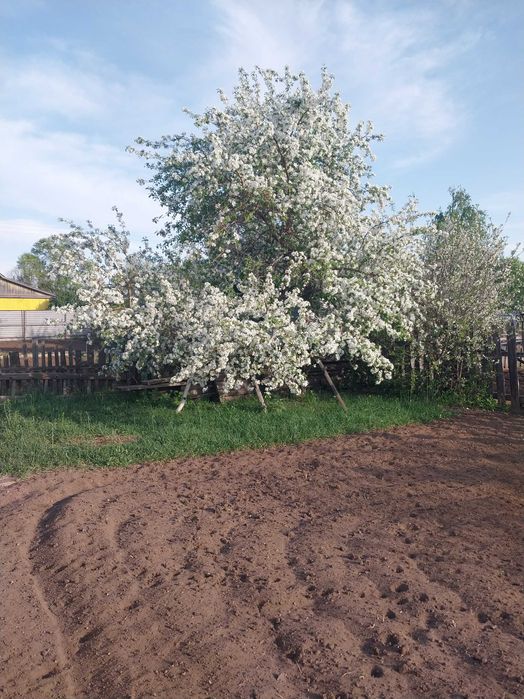 Продам дачу шахтинск