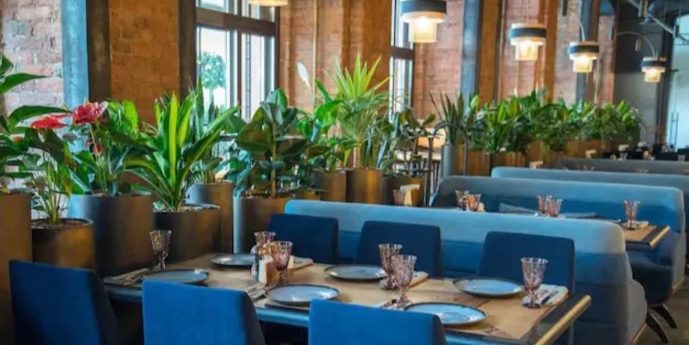 Сдаётся в аренду Действющее Кафе с выкупом бизнеса