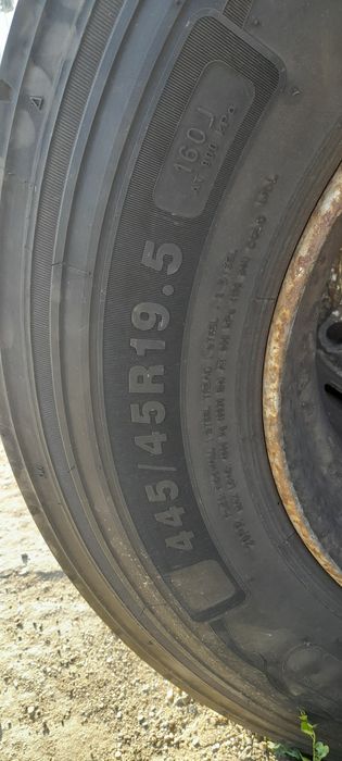 Roți mega 445.45 .19,5 şase buc. Şi 445.50.19,5 şase buc.