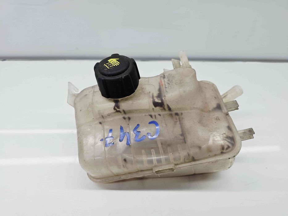 Vas expansiune Renault Scenic 3 [Fabr 2009-2015]