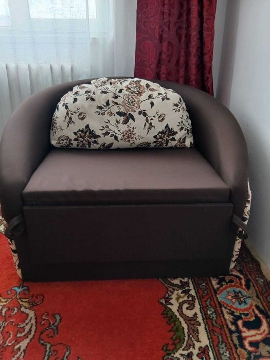 Fotoliu pat-pret 450 lei