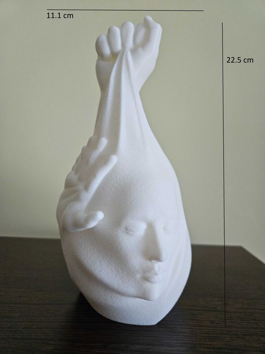 Ornament artistic modern – Sculptură 3D "Eliberarea"