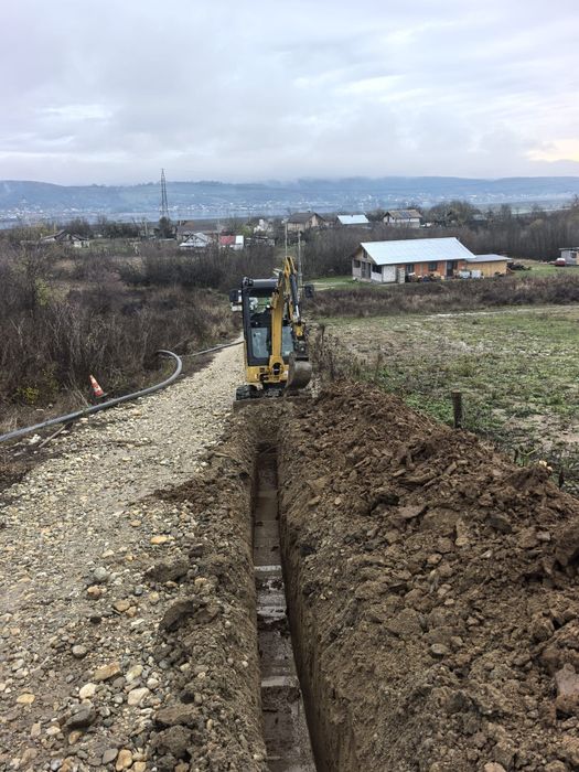 Miniexcavator de închiriat