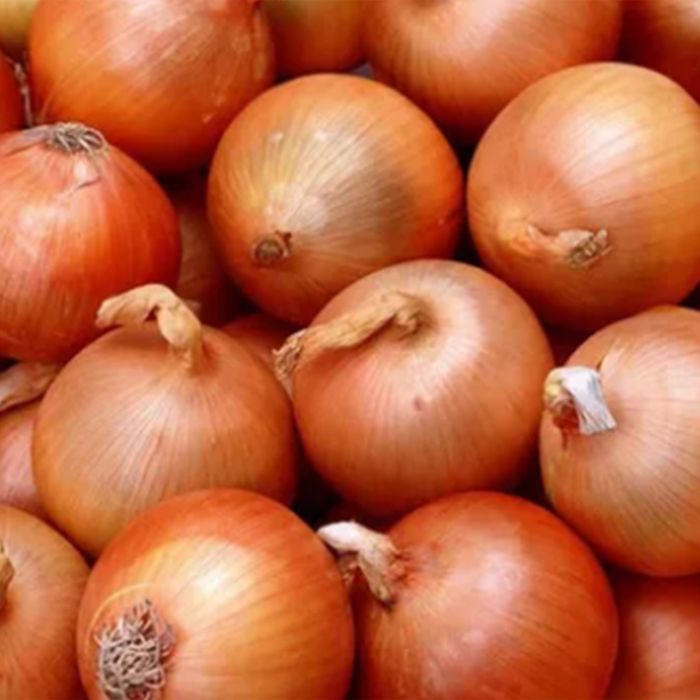 Лук репчатый оптом от 27 тг и выше