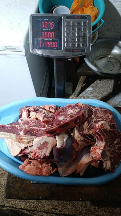 Бычки есть на продажу