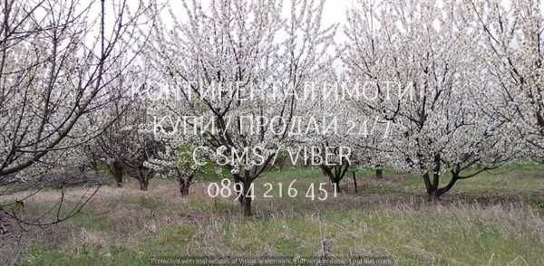 код 63224. 3 панорамни нови УПИ-та преди селото, на около 800 м. от Околовръстното и на 100м от шосето преди селото.