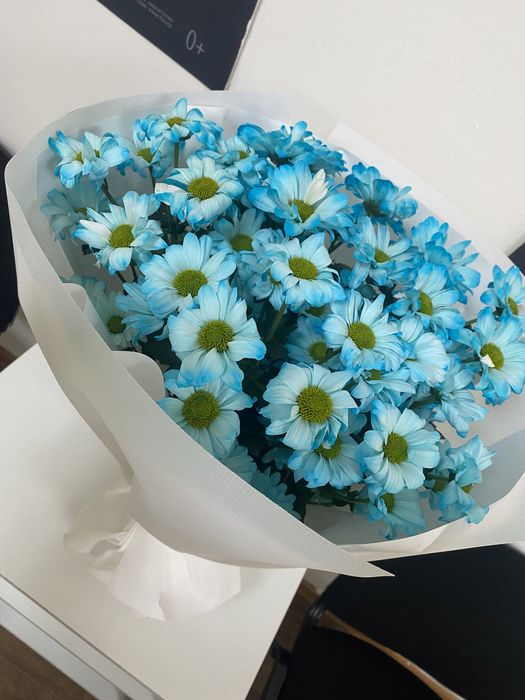 Продам цветы хризантемы