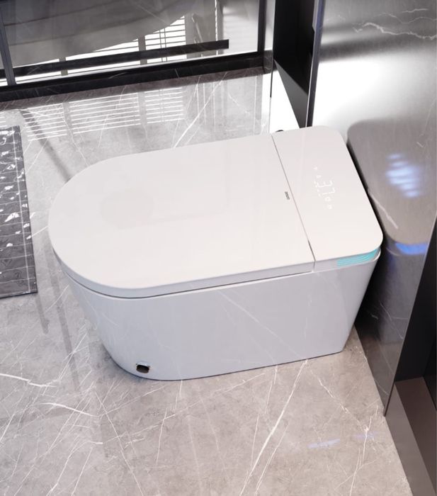 Умный унитаз рууский