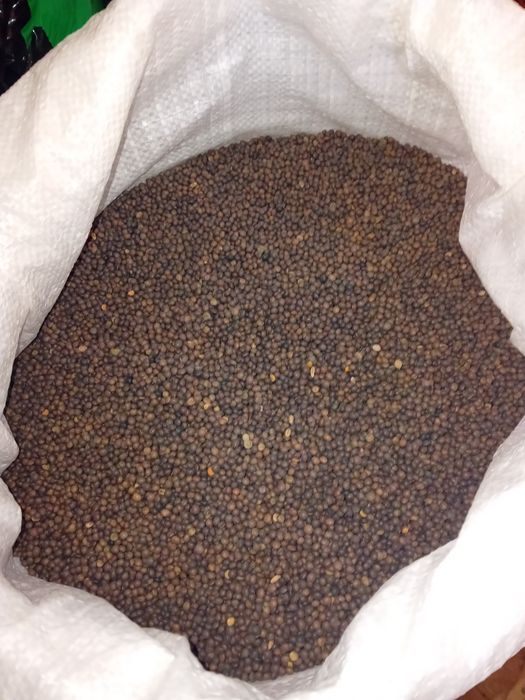 Продавам Фий 95%чист