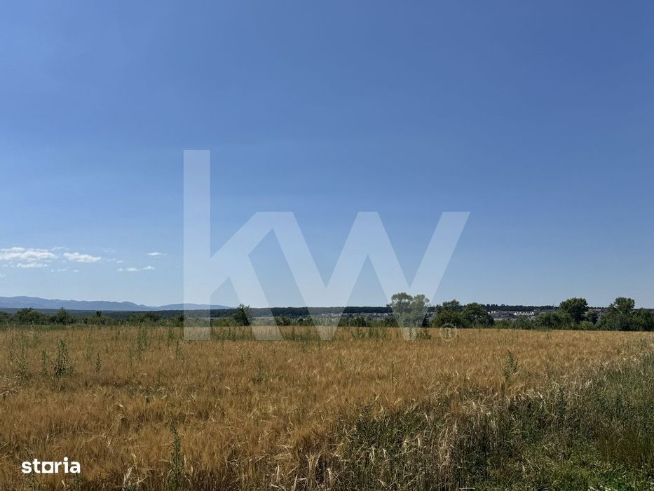 Teren 720 mp Sevis | 23 m front | Oportunitate investitie 24.480€