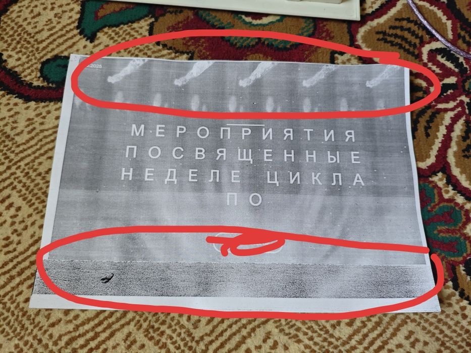 Принтер canon LBP 2900 ЧБ