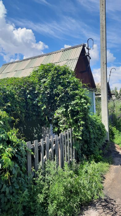 Хорошая, экологическая  дача