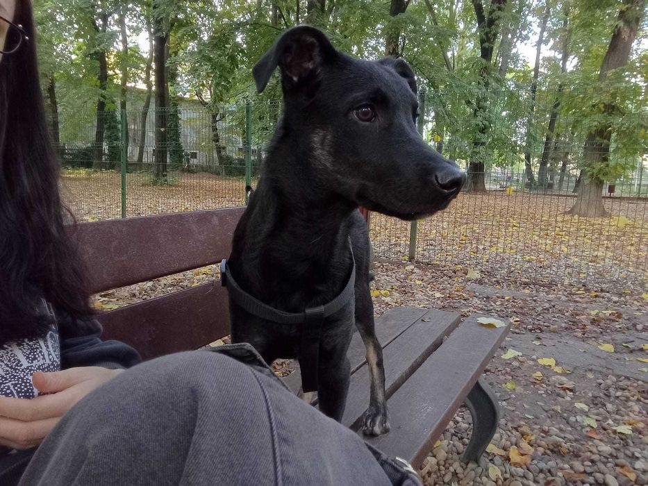 2 puiuței drăguței (și abandonați) își caută părinței (A MAI RĂMAS UNU!!)