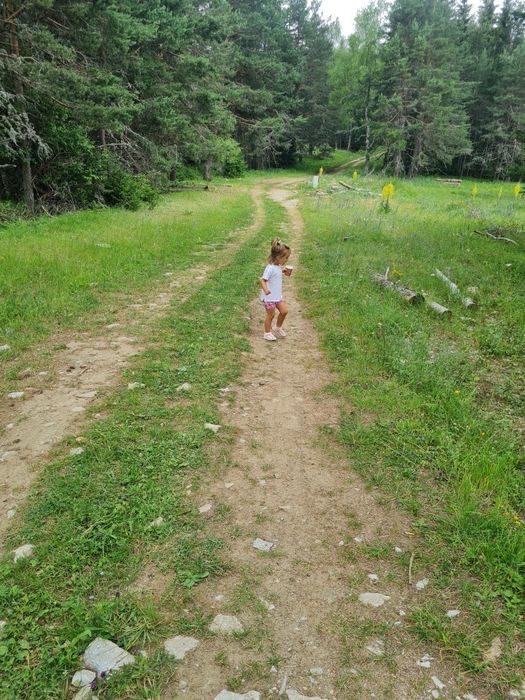 Продава се Парцел в Пловдив, Институт по овощарство - 561 кв.м за 18 €/кв.м - Снимка #7