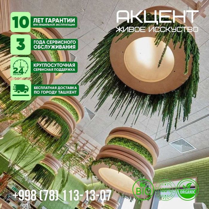 "Акцент" фитокартины