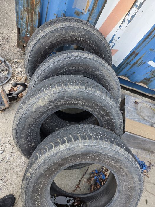 nokian hakapelita