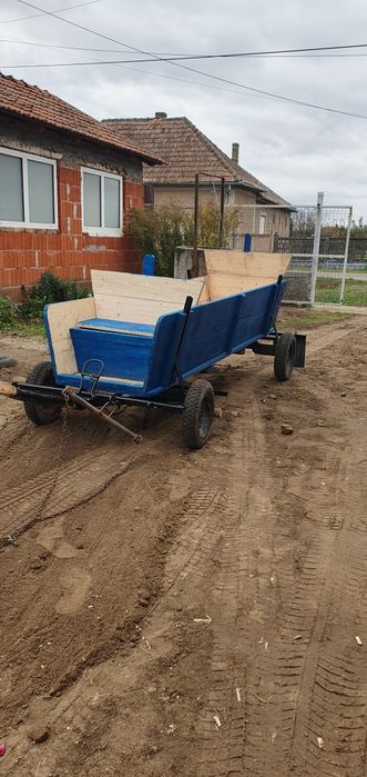 De vanzare ponei si caruta