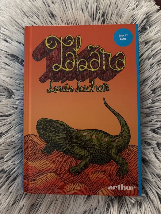 ,,Tabăra” de Louis Sachar, editura arthur.