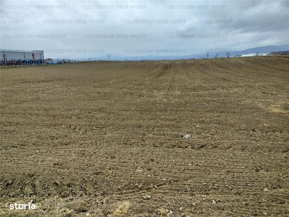 Oportunitate! Teren Industrial - Zona Darste