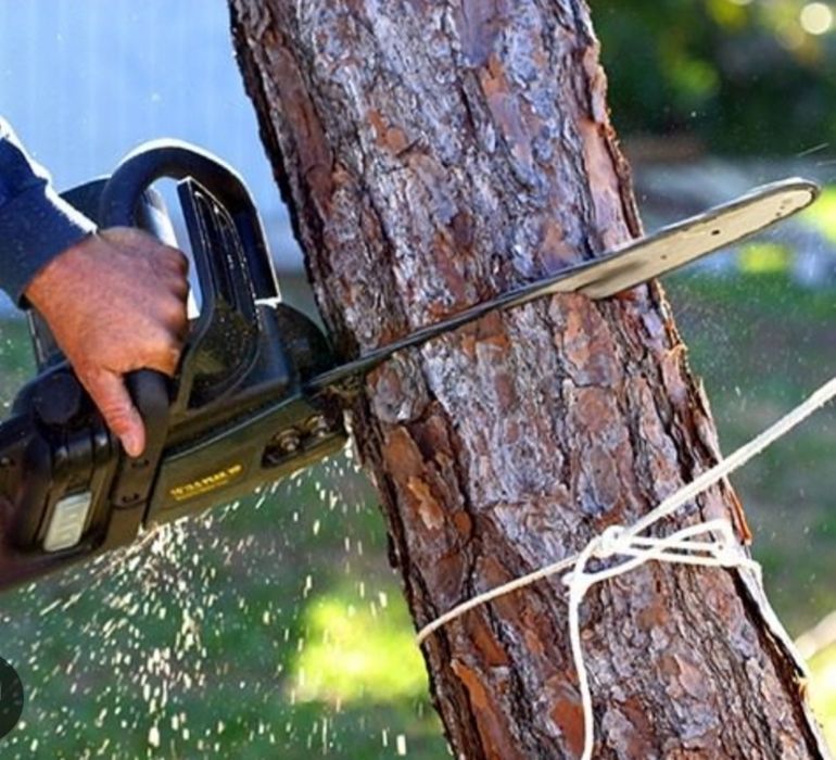 Спил и обрезка деревьев