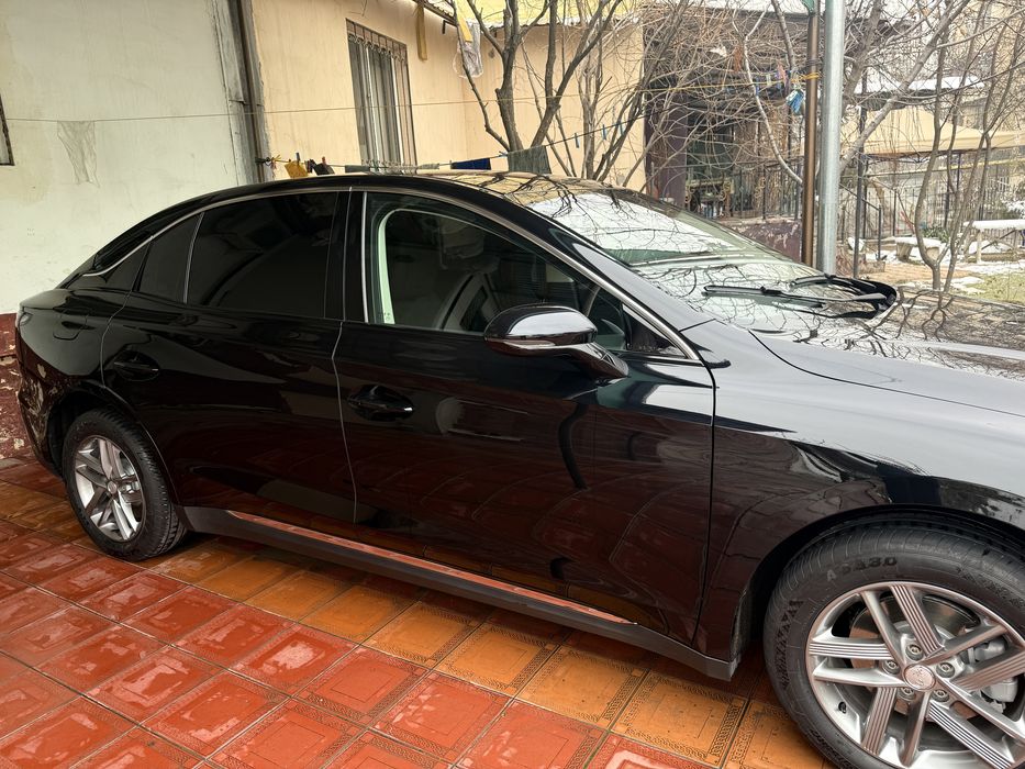 HONGQI EQM5 restayling