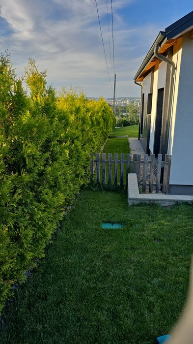 Amenajare/tuns/intretinere spatiu verde