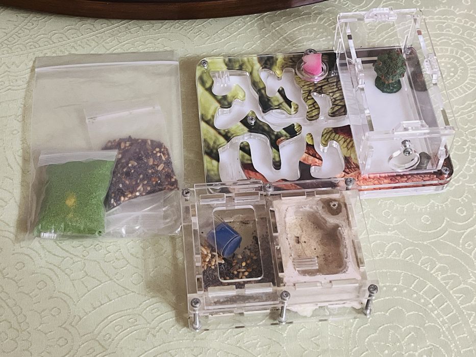 Муравьиная ферма