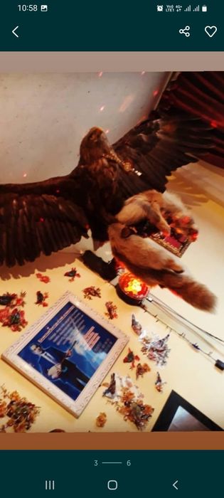 БЕРКУТ очень красиво.