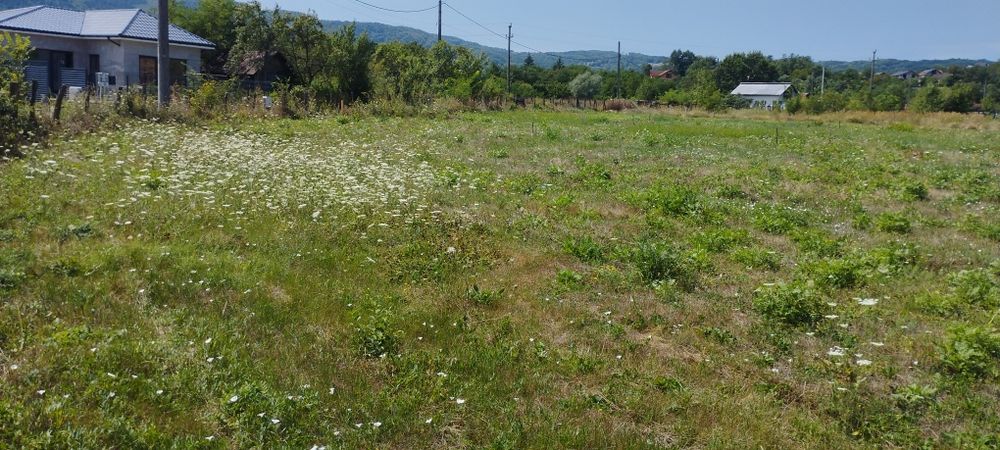 Vand teren intravilan cu parcele de 650mp