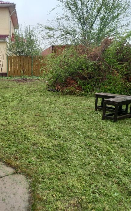 Покос травы. Разнотравие. Газон.