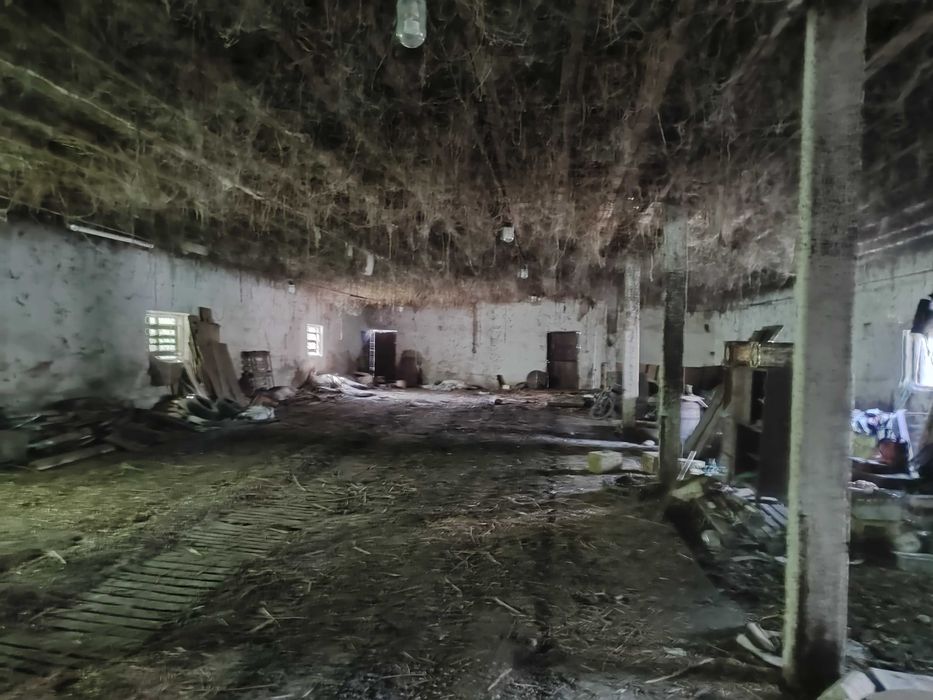 Продава се Промишлена сграда в с. Дончево, Област Добрич - 710 кв.м за 133 €/кв.м - Снимка #3