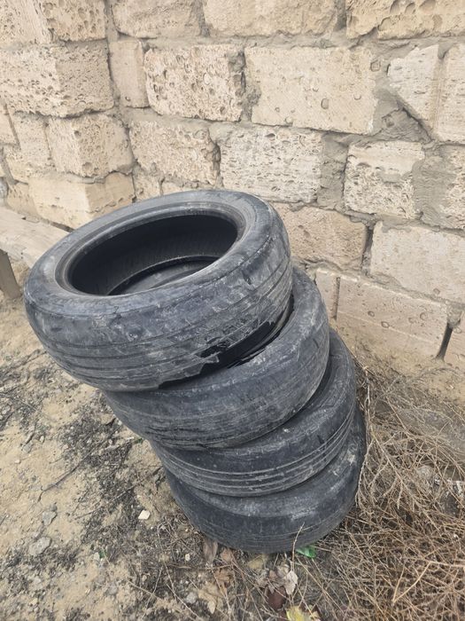 Пакричка мен титанка