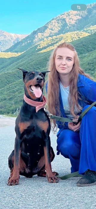 Прекрасные щенки добермана