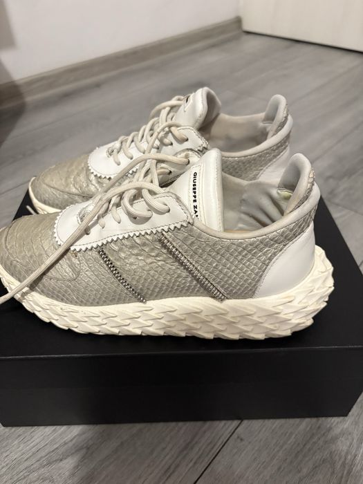 Giuseppe Zanotti Urchin Python