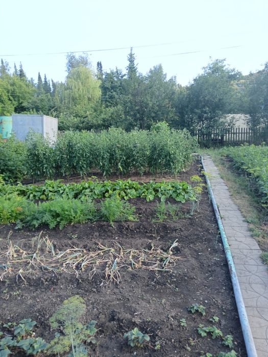 продам дачу дачи умз за тарханкой