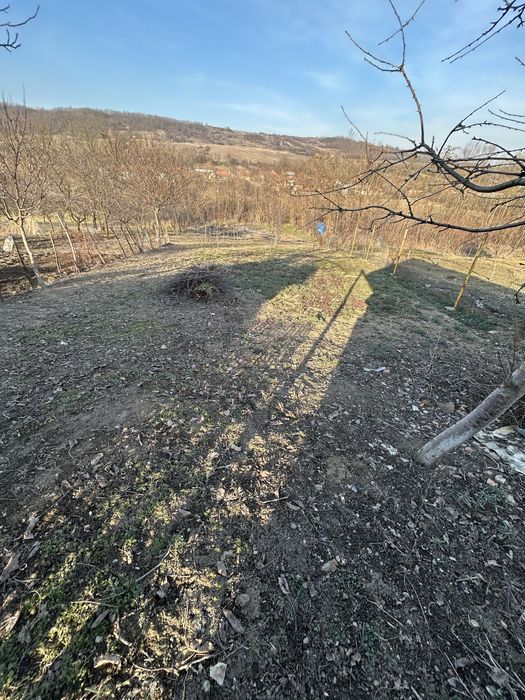 Vand casa la tara