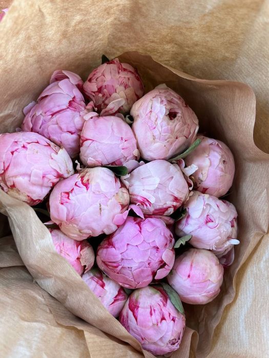 Купить розы,букет цветов,букет на подарок,пионы