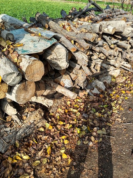 О'тин тандир учун