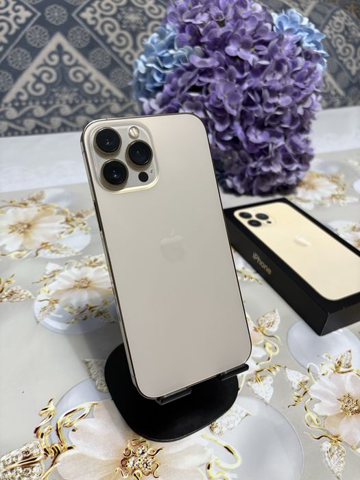 iPhone 13 Pro Max