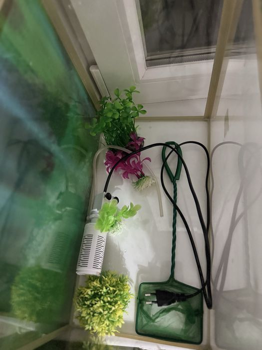 Продам аквариум не дорого