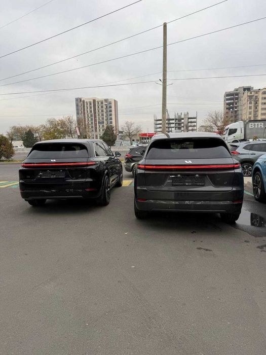 Lixiang L9 Ultra Green/Brown Dark Grey/Brown