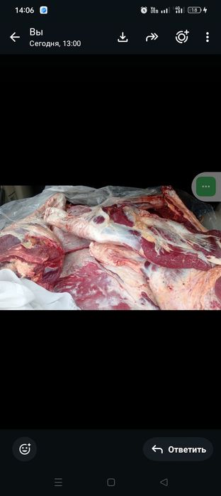 Продам говядину срочно по 3400