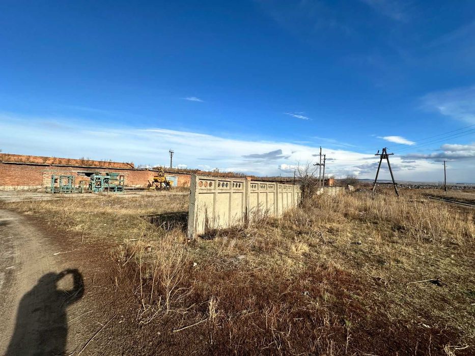 В продаже База новоявленка Алаш 1