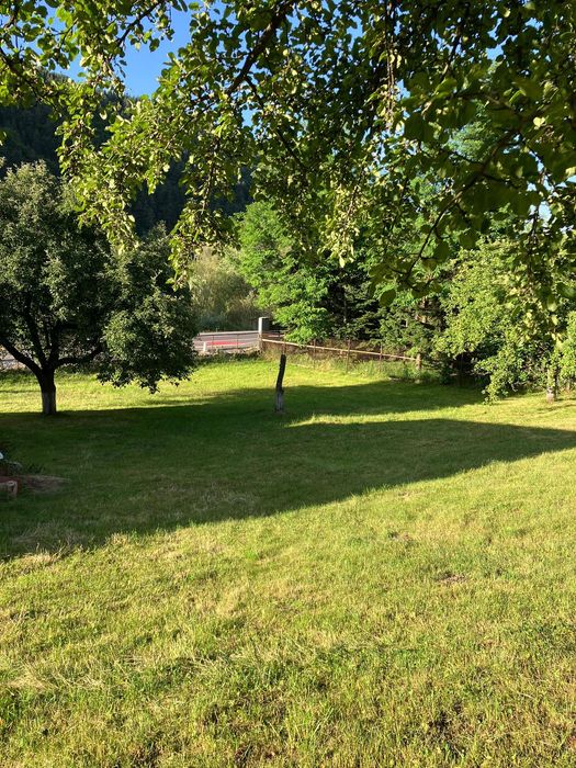 Teren intravilan Bran